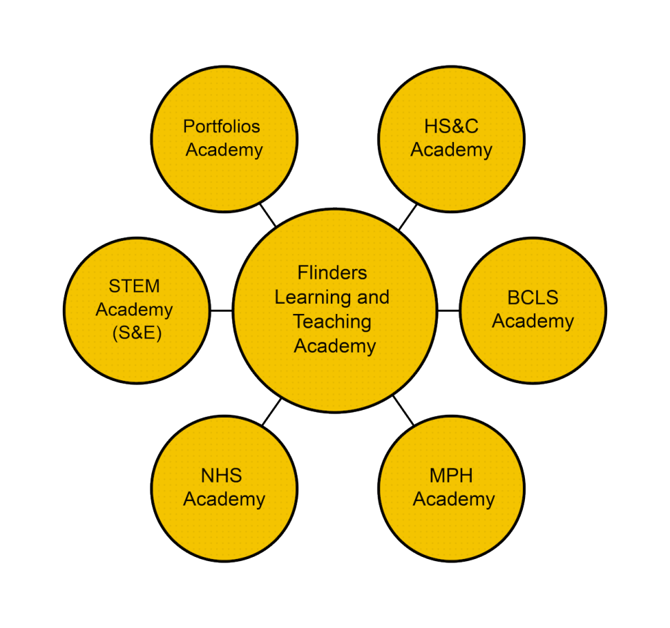 learnning-and-teaching-academy.png
